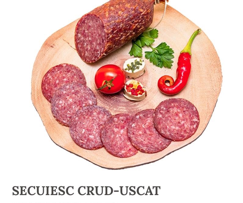 489989557 1295908371961711 5629780871205068775 n