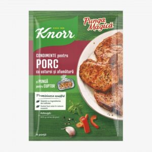 knorr punga magică condimente pentru porc cu usturoi și afumătură 29g