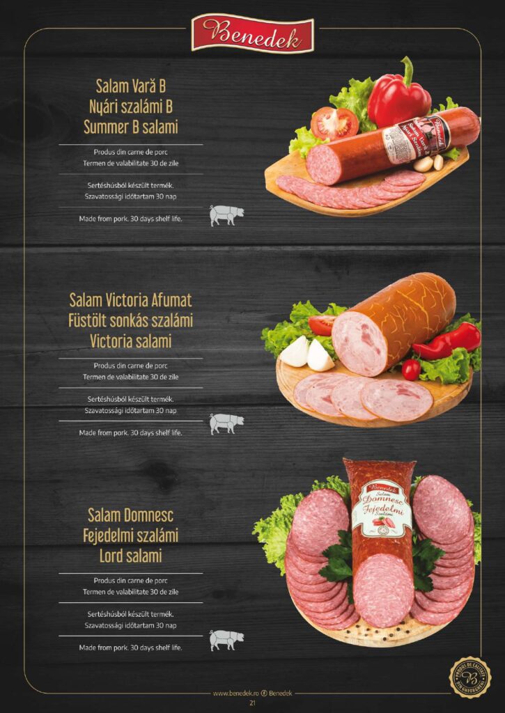 catalog de produse benedek (3) 231023 103030 page 0021