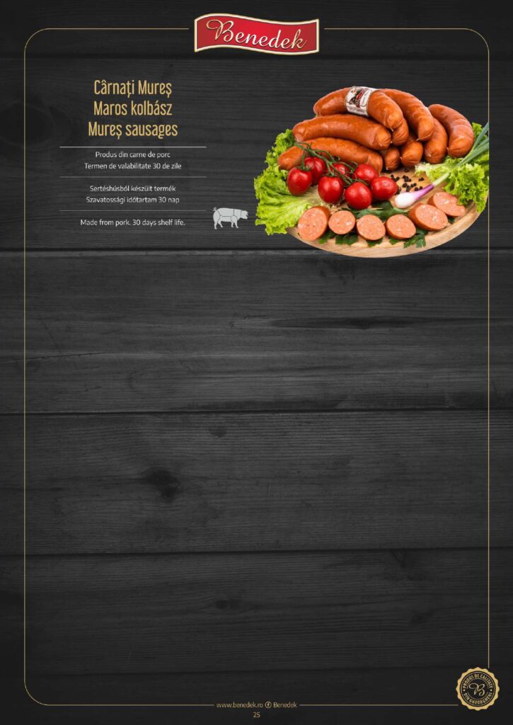 catalog de produse benedek (3) 231023 103030 page 0025