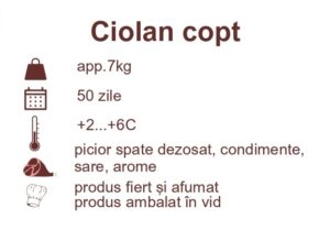 ciolan copt