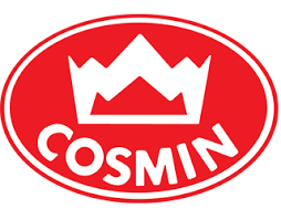 cosmin condiment pentru carne de pui 20g
