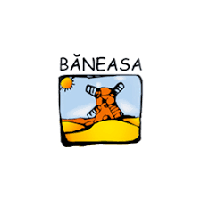 băneasa făină albă de grâu superioară 000 1 kg