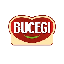 logo bucegi