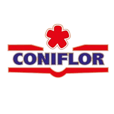 coniflor mici porc vită extra